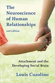 Louis Cozolino - The Neuroscience of Human Relationships: Attachment and the Developing Social Brain (Norton Series on Interpersonal Neurobiology) Second Edition