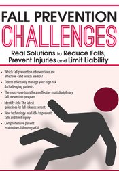 M. Catherine Wollman Fall Prevention Challenges Real Solutions to Reduce Falls