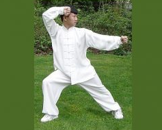 Ma Hong Chen Style Tai Chi The Secret of Jin Release (2009)