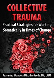 Manuela Mischke-Reeds Collective Trauma Practical Strategies for Working Somatically in Times of Change