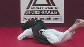 Marcello Monteiro BJJ Curriculum Blue to Purple Level 2