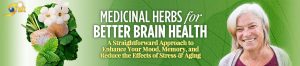 Mary Bov Medicinal Herbs for Better Brain Health