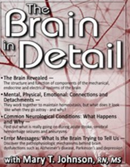 Mary T. Johnson The Brain in Detail