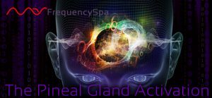 Mas Sajady Pineal Gland Activation