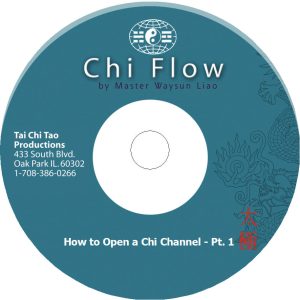 Master Waysun Liao Chi Flow Series