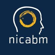 NICABM How to Work with the Patterns That Sustain Depression