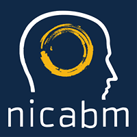 NICABM Next Level Practitioner