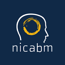 NICABM - The Advanced Master Program on the Treatment of Trauma