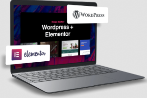 Neel Sarode – WP + Elementor Design Masterclass