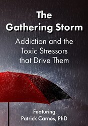 Patrick Carnes The Gathering Storm Addiction and the Toxic Stressors that Drive Them