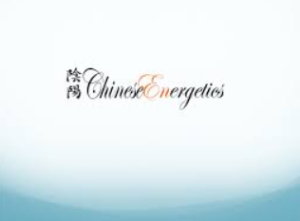 Paul Wong Yuen Method Chinese Energetics Home Study Course