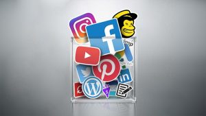 Pouya Eti VIP Digital Marketing Master Course  31 Courses in 1