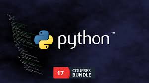 Python Become a Professional Python Programmer Bundle