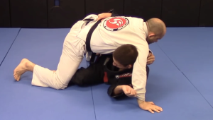 Rafael Formiga The Butterfly Guard System