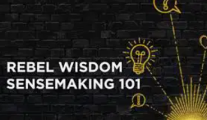 Rebel Wisdom Sensemaking 101