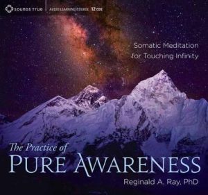 Reginald A. Ray The Practice of Pure Awareness