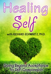 Richard C. Schwartz Healing Self Going Beyond Acceptance to Self-Compassion