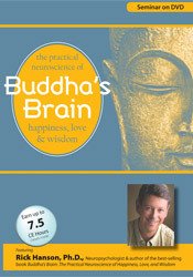 Rick Hanson Buddha's Brain The Practical Neuroscience of Happiness