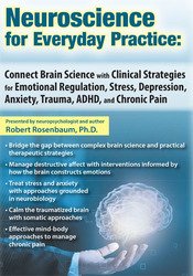 Robert Rosenbaum Neuroscience for Everyday Practice Connect Brain Science with Clinical Strategies for Emotional Regulation