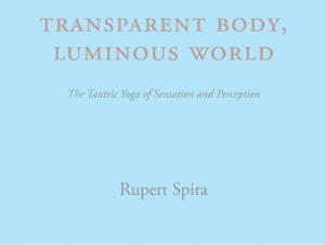 Rupert Spira Transparent Body