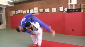 Sagi Muki Power Judo