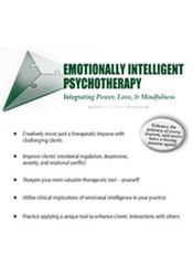 Sam Alibrando Emotionally Intelligent Psychotherapy Integrating Power