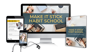 Sarah Von Bargen Make It Stick Habit School DIY