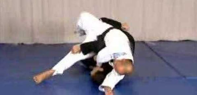 Saulo Ribeiro Jiu Jitsu Revolution 2