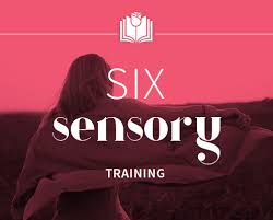 Sonia Choquette Six Sensory Online Training