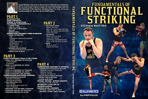 Stephen Whittier Fundamentals of Functional Striking