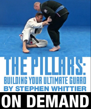 Stephen Whittier The Pillars Building Your Ultimate Guard Game