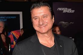 Steve Perry Ultimate Adwords Training