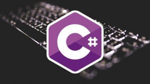 Stone River eLearning C# Programming Crash Course