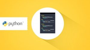 Stone River eLearning Python Libraries Bundle