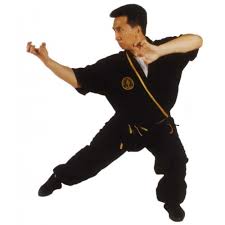 Tak Wah Eng Tiger Claw Kung Fu Series (Vol.1