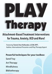 Tammi Van Hollander Play Therapy