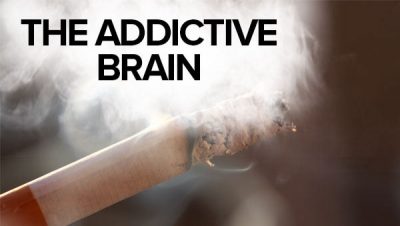 The Addictive Brain