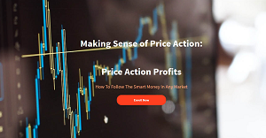 The Information Edge Making Sense of Price Action Price Action Profits