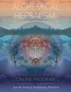 The School of Evolutionary Herbalism Alchemical Herbalism