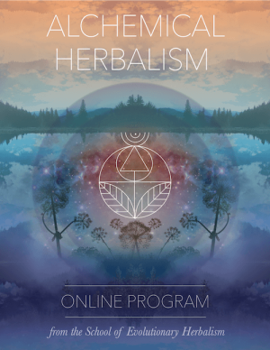 The School of Evolutionary Herbalism Alchemical Herbalism