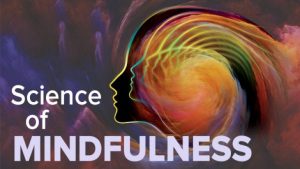 The Science of Mindfulness A Research-Based Path to Well-Being