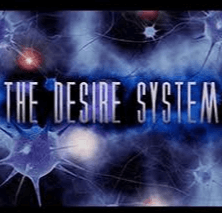 The Social man David Tian The Desire System