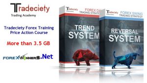 Tradeciety Forex Training Price Action Course