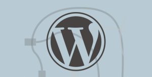 TutsPlus Introduction to WordPress Plugin Development