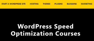 WPJohnny WordPress Speed Optimization