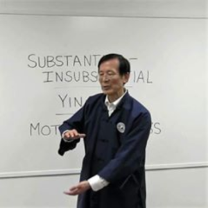 Waysun Liao Course How to Generate Taichi Power (Part 1) Advanced