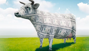 William Bronchick - Create a Cash Cow Using Wraps 2021