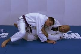 Xande Ribeiro Diamond Concept of Defense