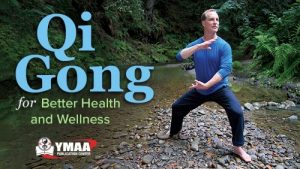YMAA Lee Holden Qi Gong for Better Health and Wellness