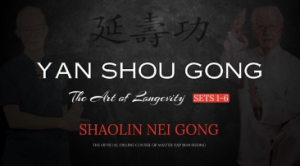 Yan Shou Gong The Art of Longevity (Sets 1-6) Shaolin Nei Gong